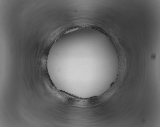 X0000116850288201001051512