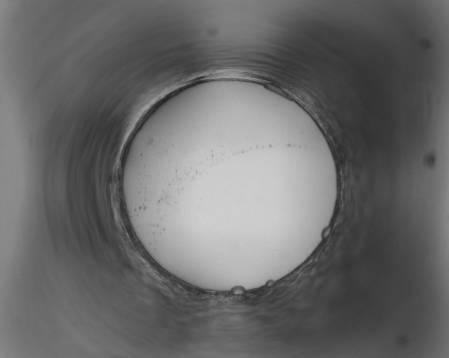 X0000116850289201001051512