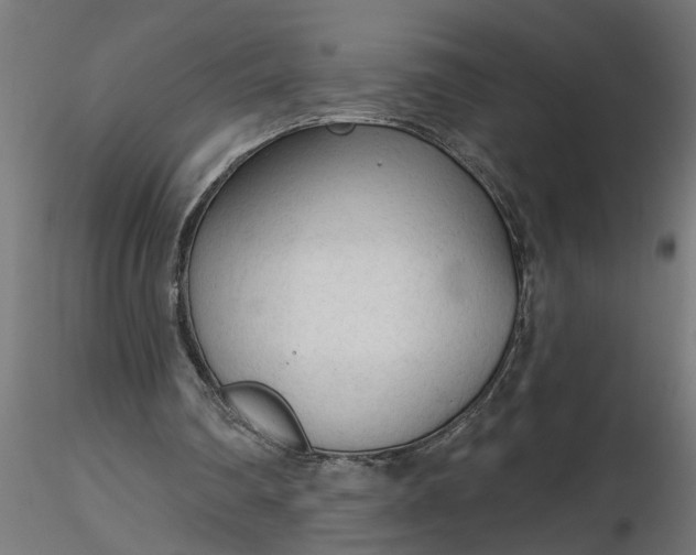 X0000116850290201001051512