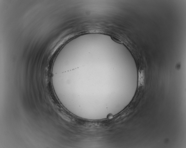 X0000116850291201001051512