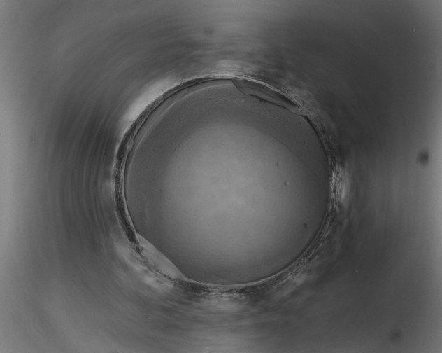 X0000116850292201001051512