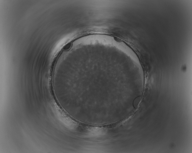 X0000116850293201001051512