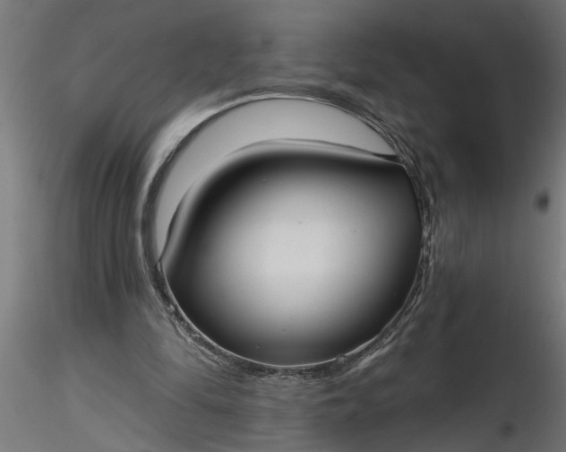 X0000116850294201001051512