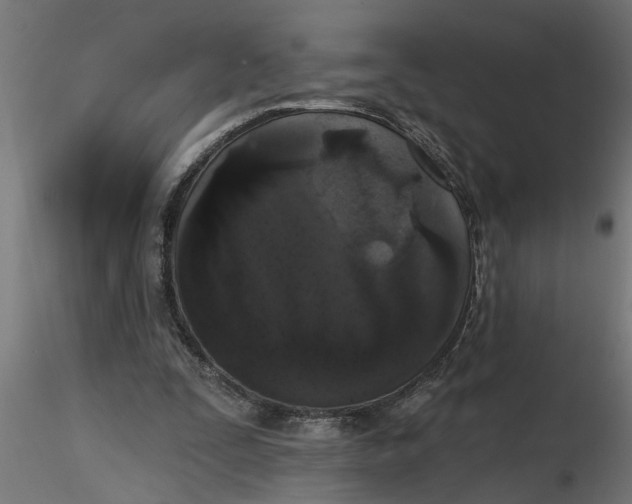 X0000116850295201001051512