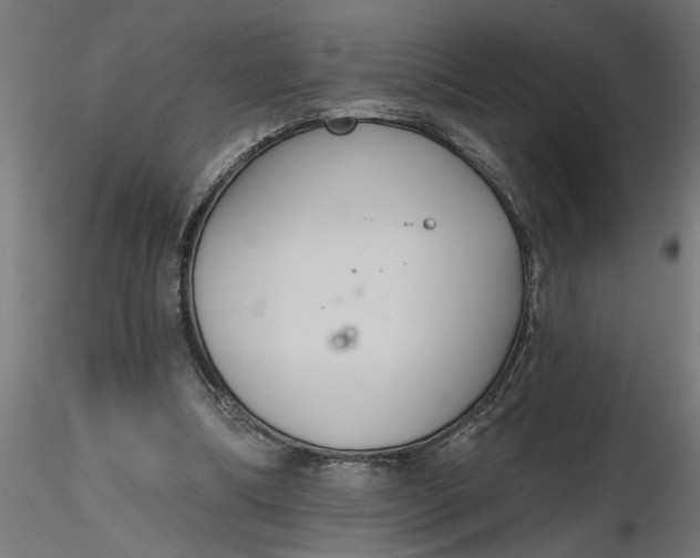 X0000116850298201001051512