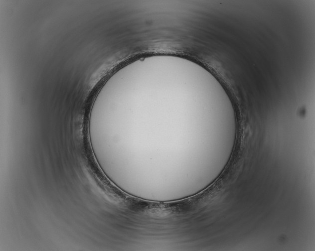 X0000116850299201001051512