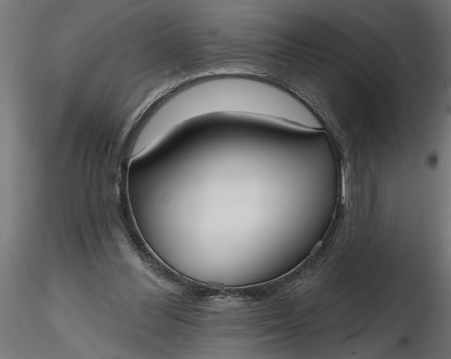 X0000116850300201001051512