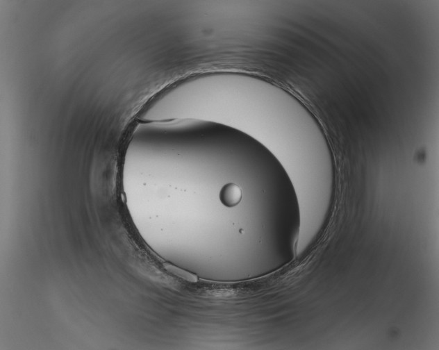 X0000116850301201001051512