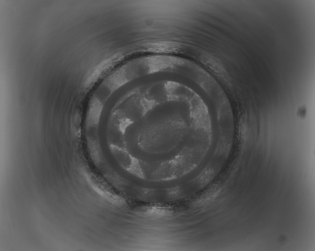 X0000116850303201001051512