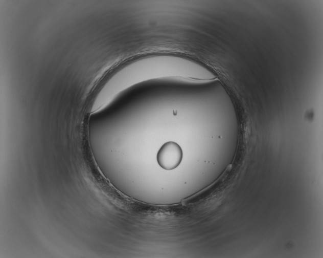 X0000116850304201001051512