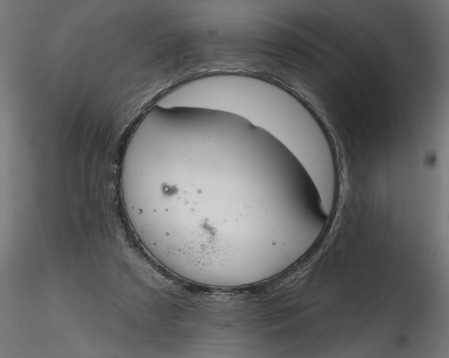 X0000116850305201001051512