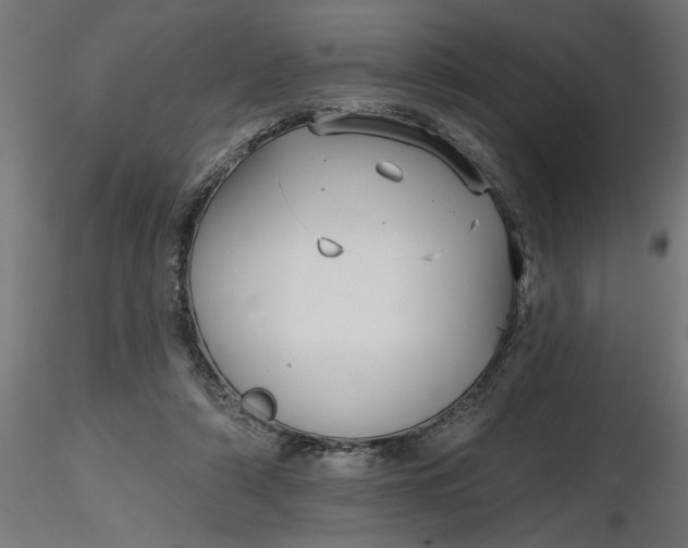 X0000116850306201001051512