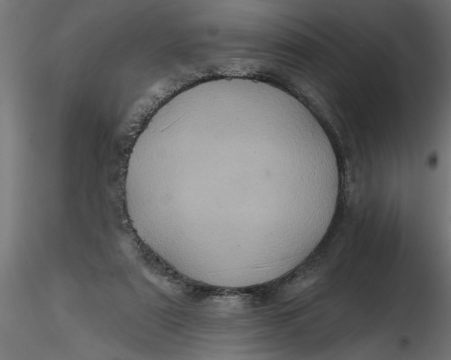 X0000116850307201001051512