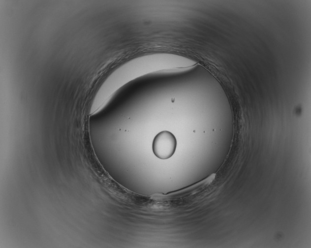 X0000116850308201001051512