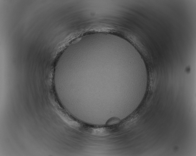 X0000116850309201001051512