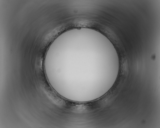 X0000116850310201001051512