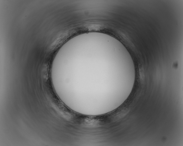 X0000116850311201001051511