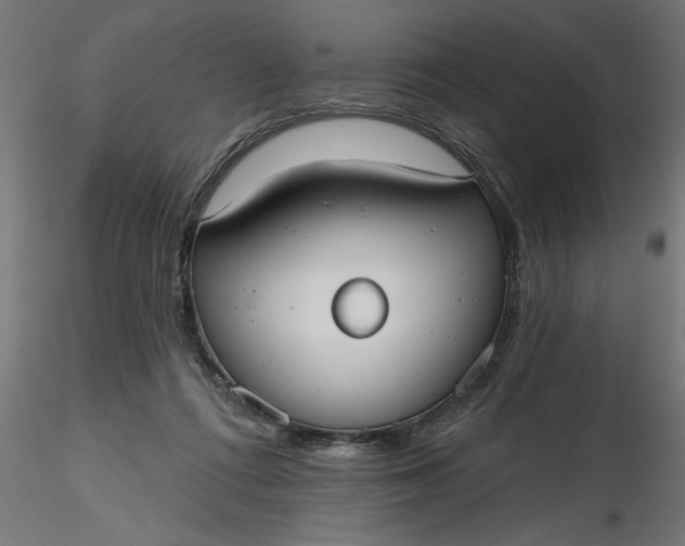 X0000116850312201001051511