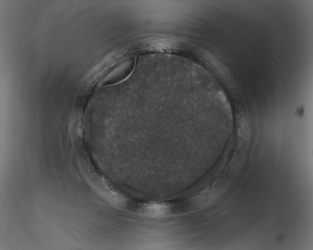 X0000116850313201001051511