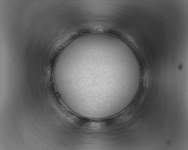 X0000116850314201001051511