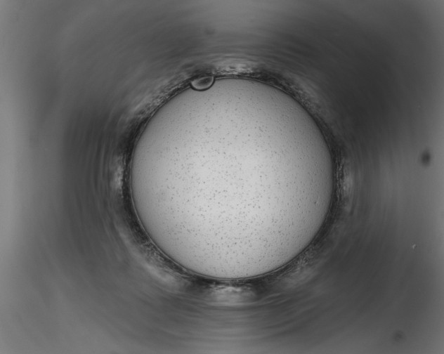 X0000116850315201001051511