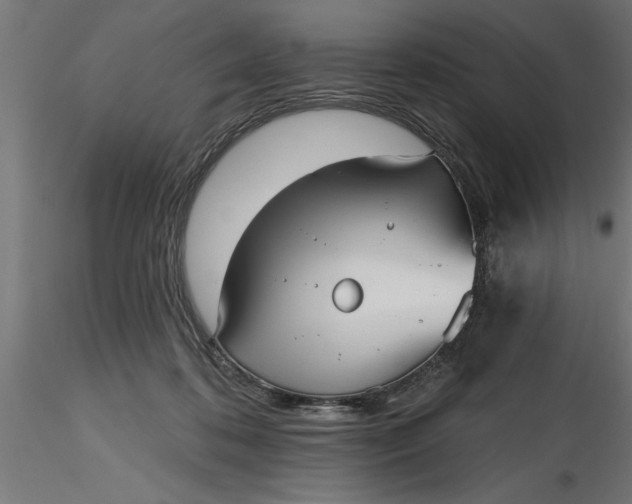 X0000116850316201001051511