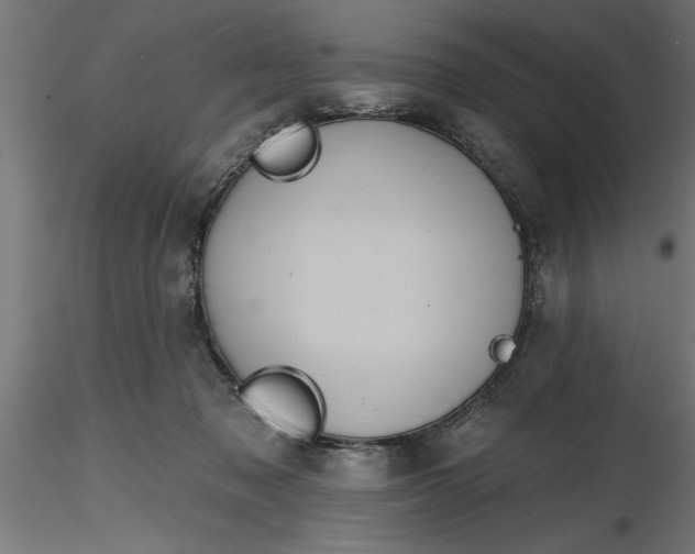 X0000116850317201001051511