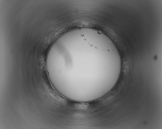 X0000116850318201001051511