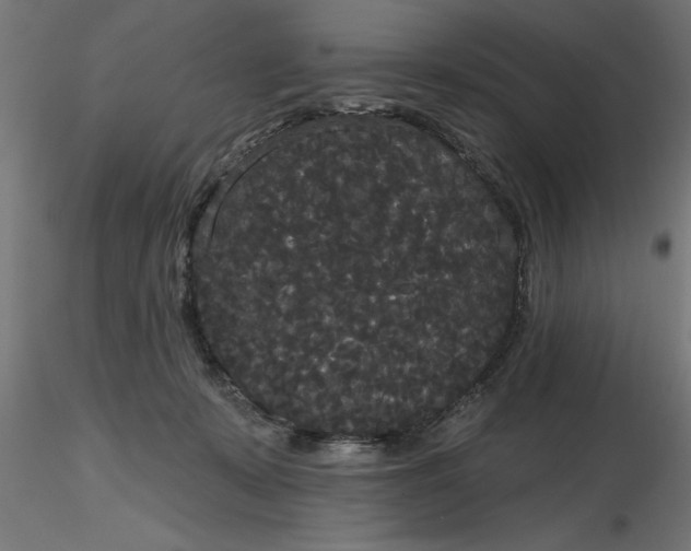 X0000116850319201001051511