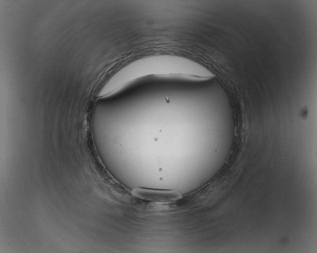 X0000116850320201001051511