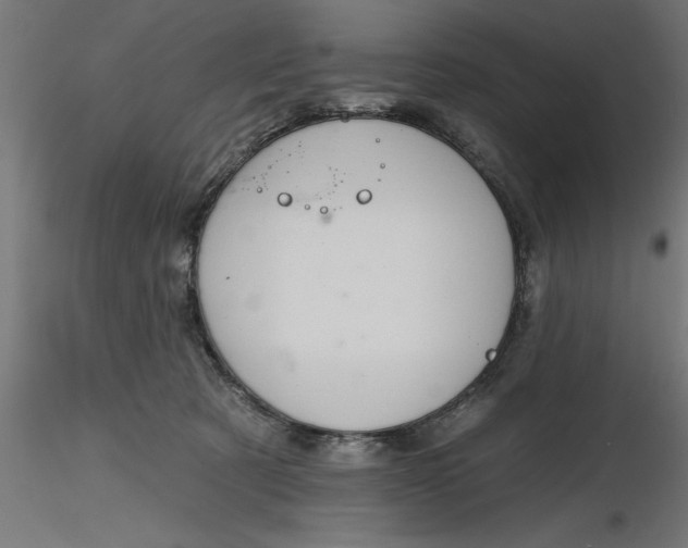 X0000116850321201001051511