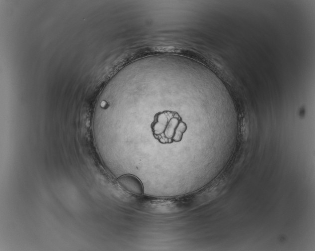 X0000116850322201001051511