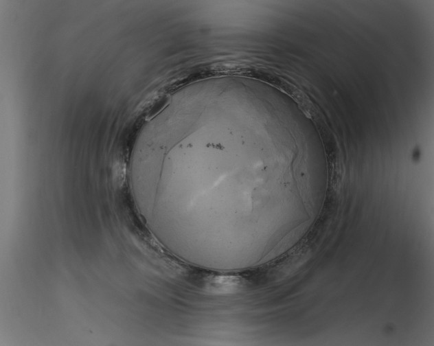 X0000116850324201001051511