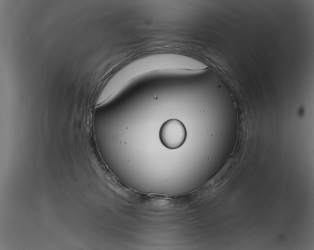 X0000116850325201001051511