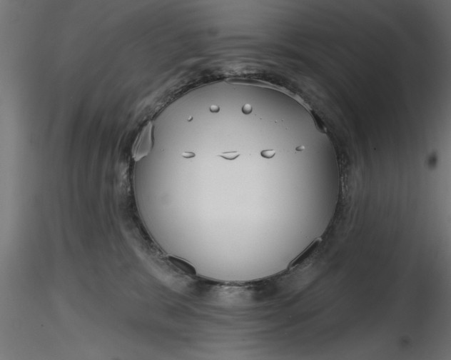 X0000116850327201001051511