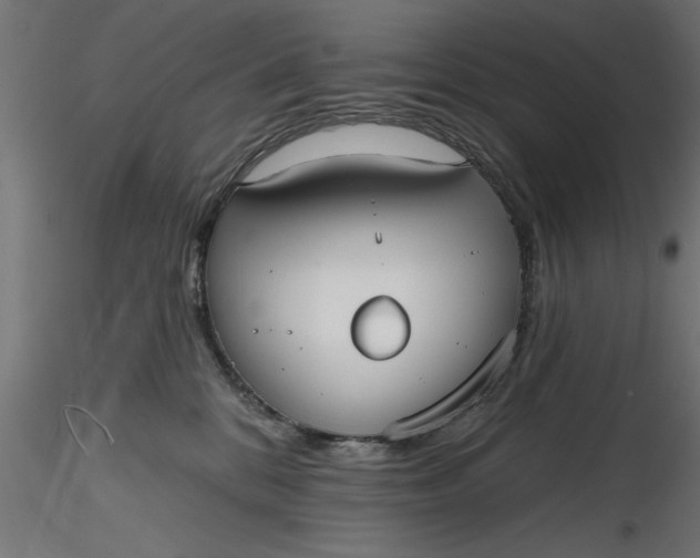 X0000116850328201001051511