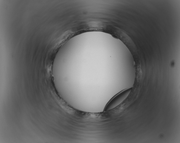 X0000116850329201001051511