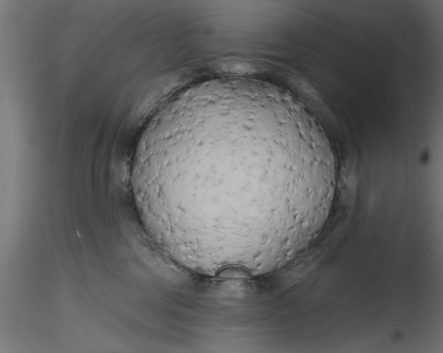 X0000116850330201001051511