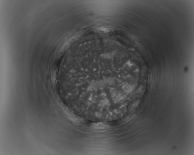 X0000116850331201001051511