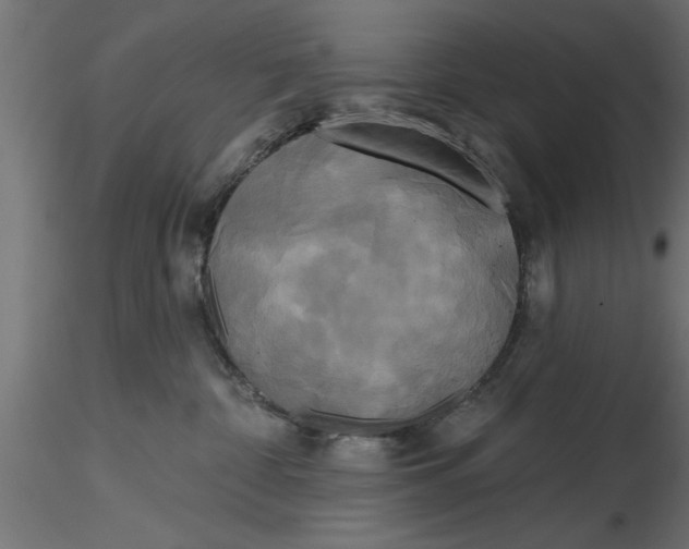 X0000116850332201001051511