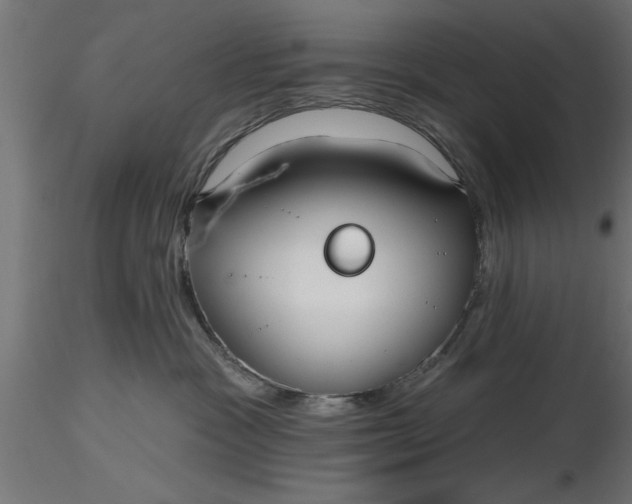 X0000116850333201001051511