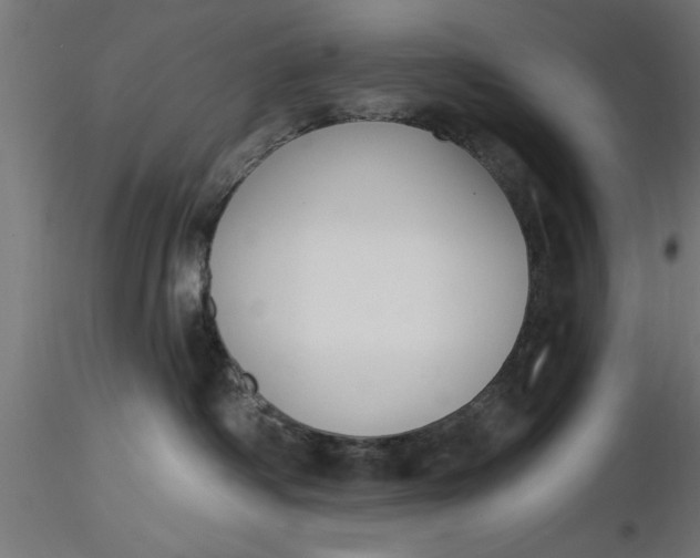 X0000116850334201001051511