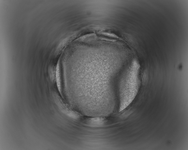 X0000116850335201001051511