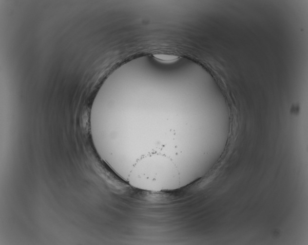 X0000116850336201001051511