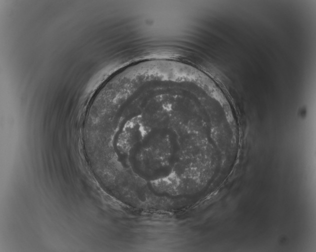 X0000116850337201001051511