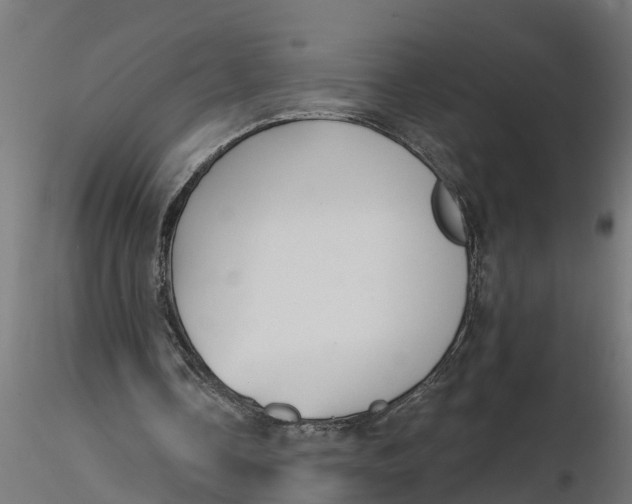 X0000116850338201001051511