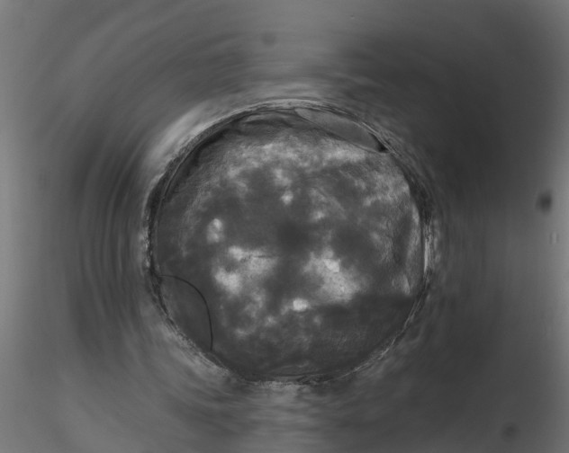 X0000116850339201001051511