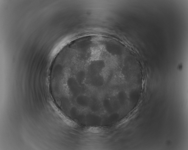 X0000116850341201001051511