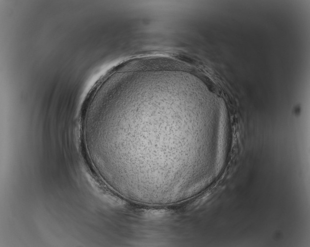 X0000116850342201001051511