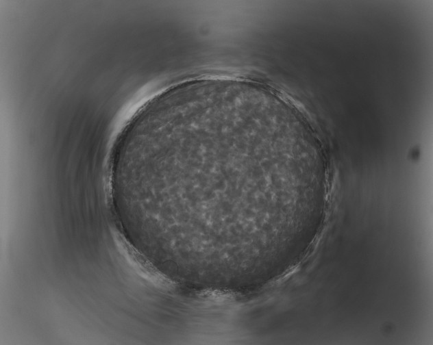 X0000116850343201001051511